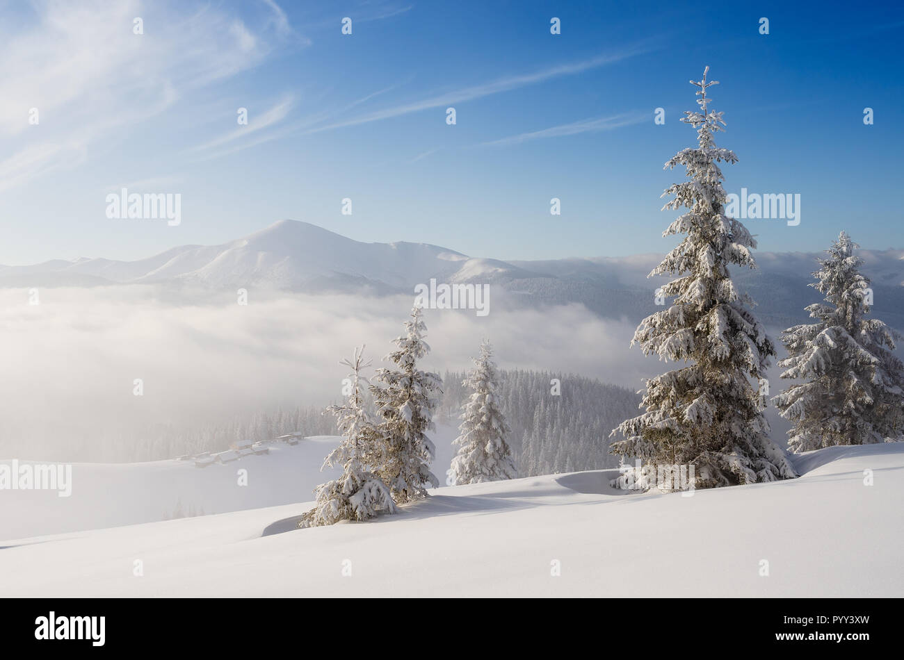 Bianco Natale. Neve paesaggio invernale con la nebbia in montagna. Sunny frosty giorno Foto Stock
