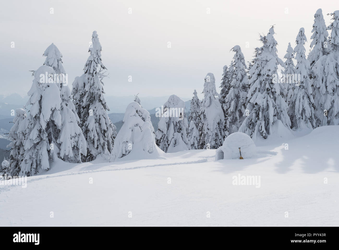 Neve eschimese igloo in foreste di montagna. Extreme adventures in natura in inverno. Paesaggio con un riparo per i turisti Foto Stock