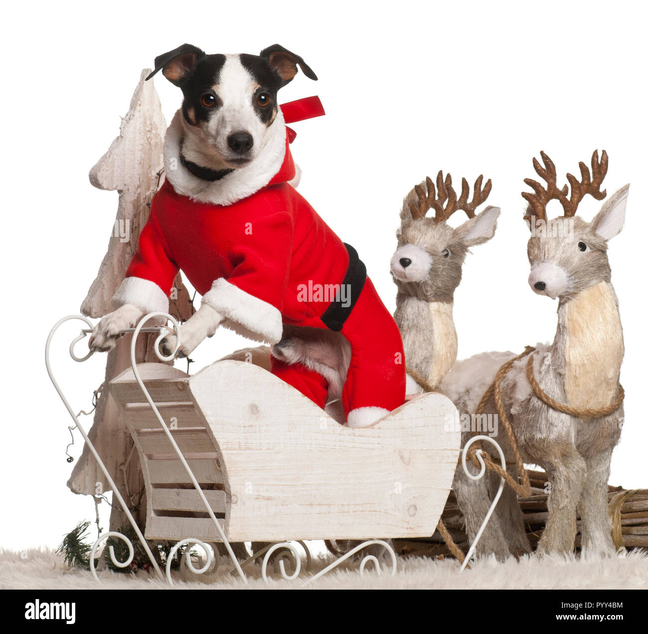 Costume Natalizio Per Cani E Gatti BESTOYARD | Fascia Testa Con Renna E Mini Cappello, Cosplay Babbo Natale