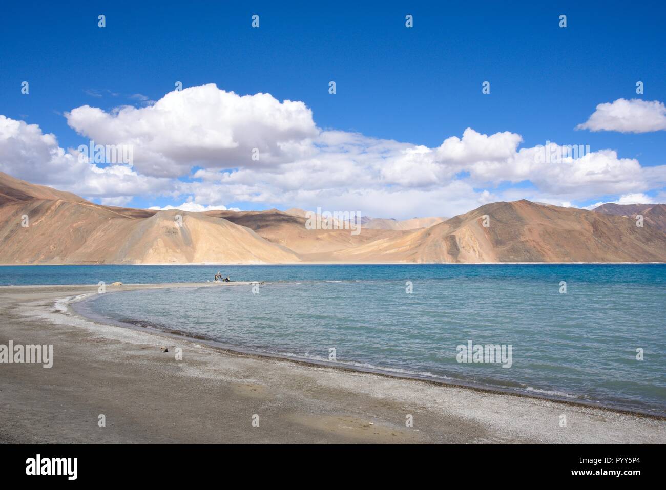 Magica Pangong Tso Foto Stock