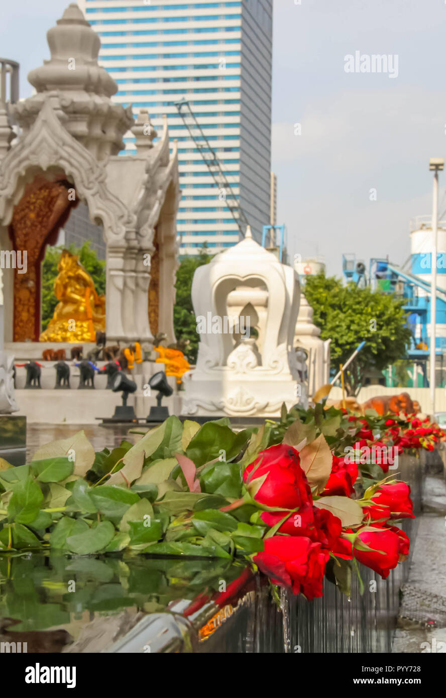 Le rose laici in una fontana presso un santuario buddista di Bangkok Foto Stock