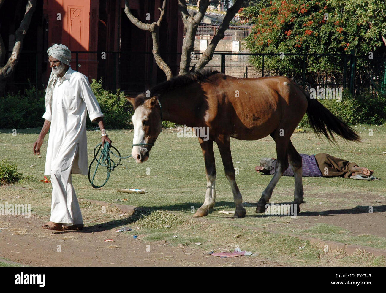 Uomo con cavallo, Union Carbide perdita di gas tragedia, Bhopal, Madhya Pradesh, India, Asia Foto Stock
