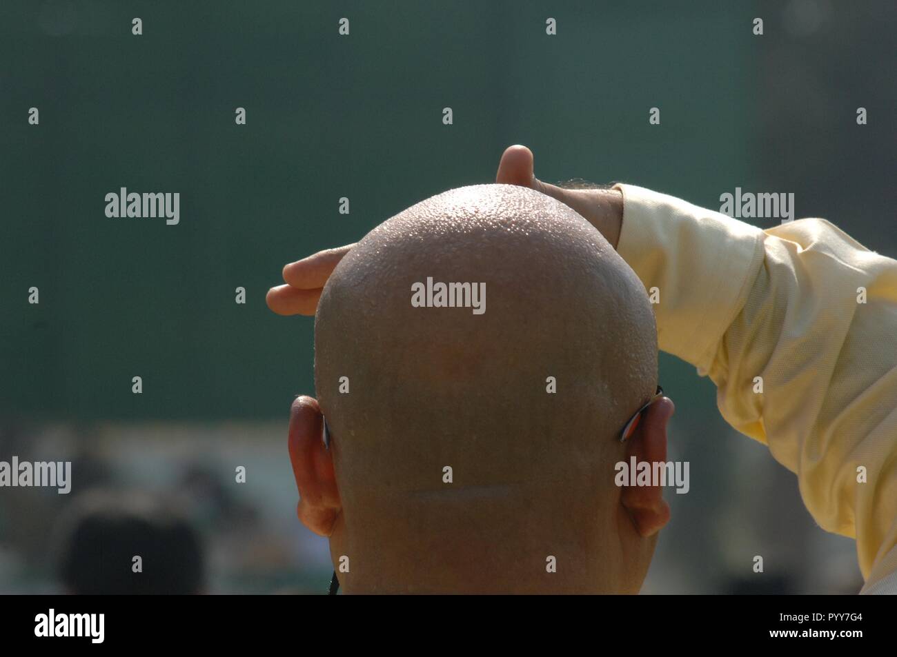 Uomo calvo al Mahalaxmi Race Course, Bombay, Mumbai, India, Asia Foto Stock