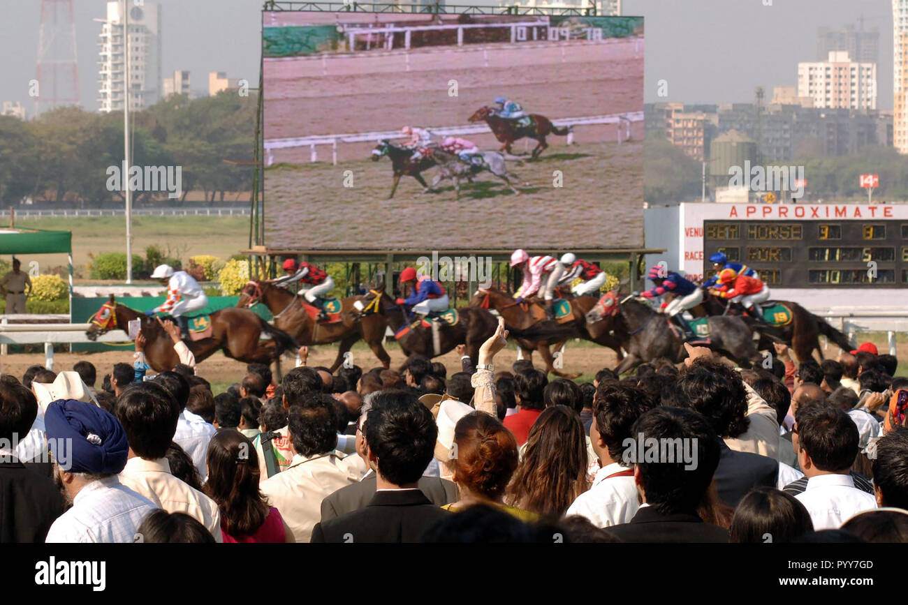 Corse di cavalli di fronte alla folla Mahalaxmi Race Course, Mumbai, India, Asia Foto Stock