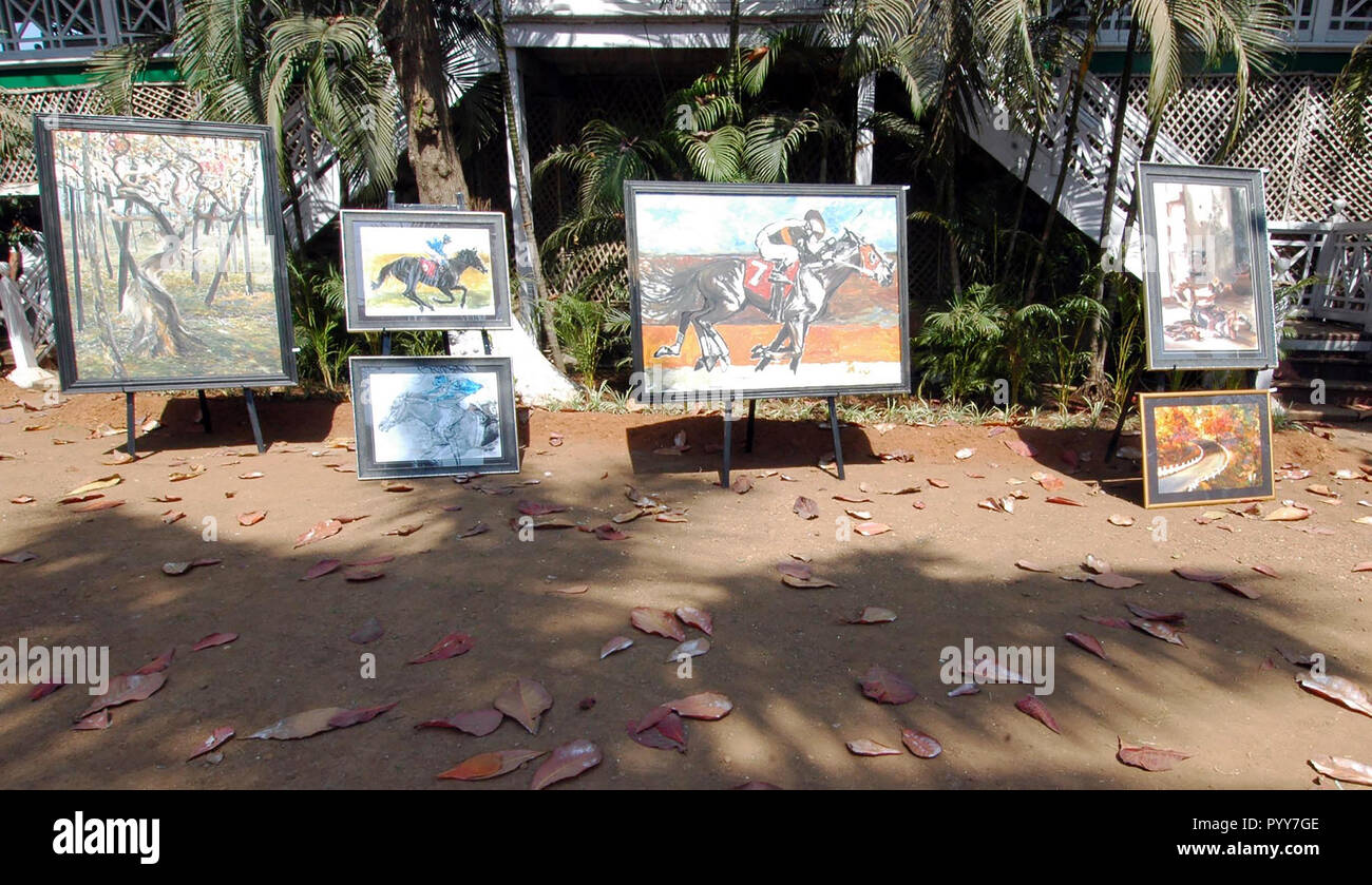 Dipinti di cavalli display, Mahalaxmi Race Course, Mumbai, Maharashtra, India, Asia Foto Stock