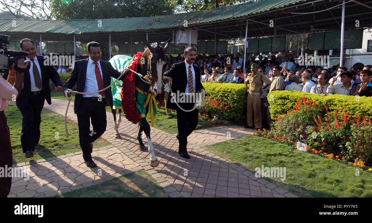 Cavallo vincente a Mahalaxmi Race Course, Mumbai, Maharashtra, India, Asia Foto Stock