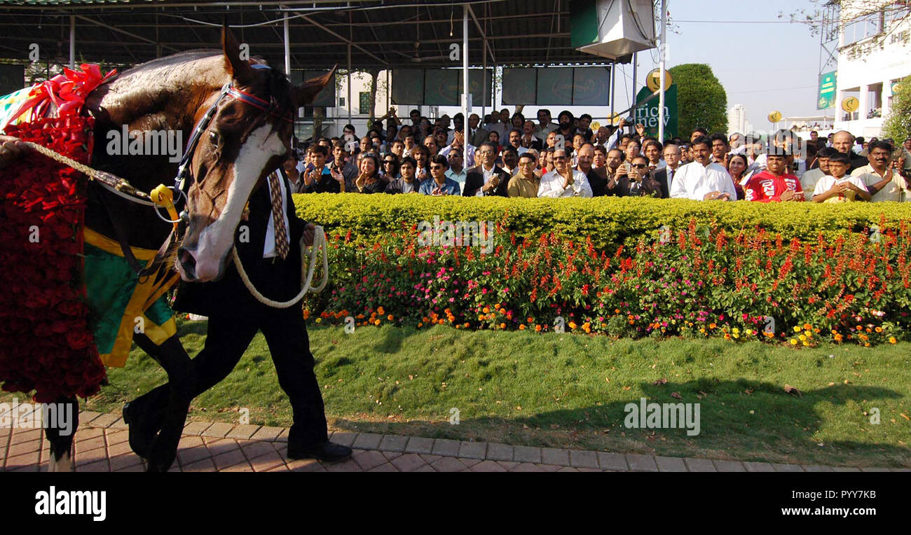 Cavallo vincente a Mahalaxmi Race Course, Mumbai, Maharashtra, India, Asia Foto Stock