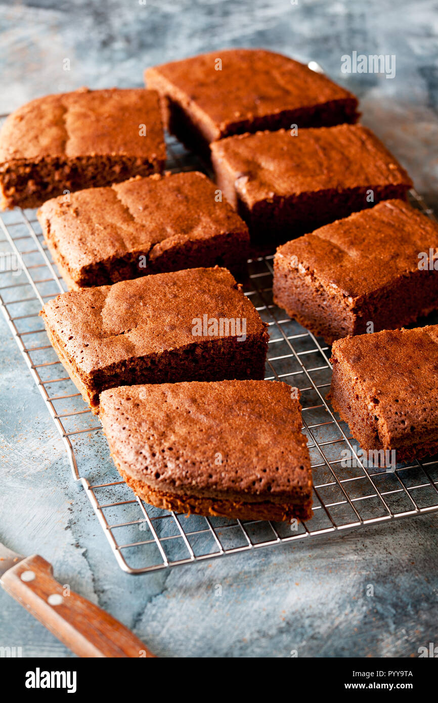 Fette di torta al cioccolato casalinga su una griglia di raffreddamento Foto Stock