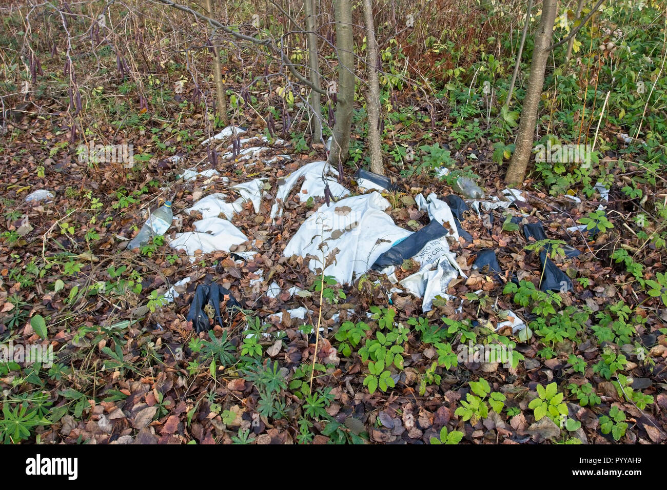 Inquinamento di plastica della foresta Foto Stock