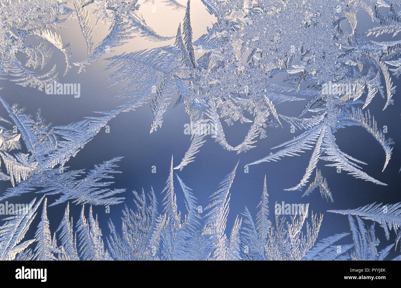 La brina si forma in modelli sul vetro del finestrino in una fredda mattina di inverno Foto Stock