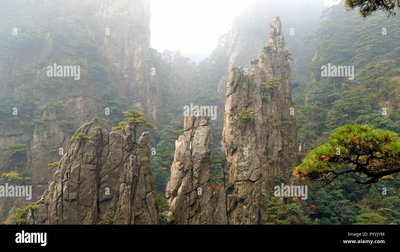 Bellissimi pini coperti picchi sulla gamma Huanghsan nella provincia di Anhui di Cina Foto Stock