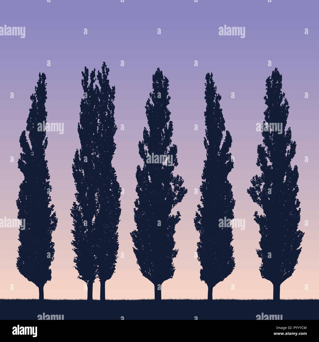 Illustrazione realistica di un paesaggio e la fila di pioppi come un frangivento sulla riva di erba sotto un viola blu cielo con il sollevamento o la regolazione del sole Illustrazione Vettoriale
