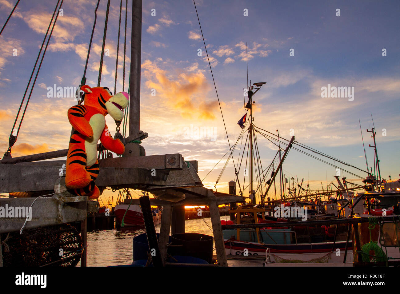 Newlyn, Cornwall, Regno Unito, 31 ottobre 2018. Rosso di stordimento cieli del porto di pesca di Newlyn questa mattina. Credito: Mike Newman/Alamy Live News. Foto Stock