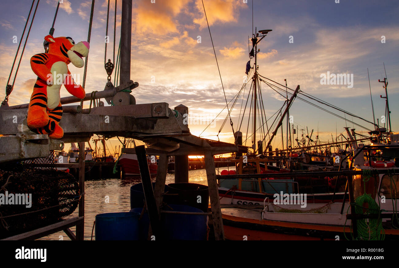 Newlyn, Cornwall, Regno Unito, 31 ottobre 2018. Rosso di stordimento cieli del porto di pesca di Newlyn questa mattina. Credito: Mike Newman/Alamy Live News. Foto Stock