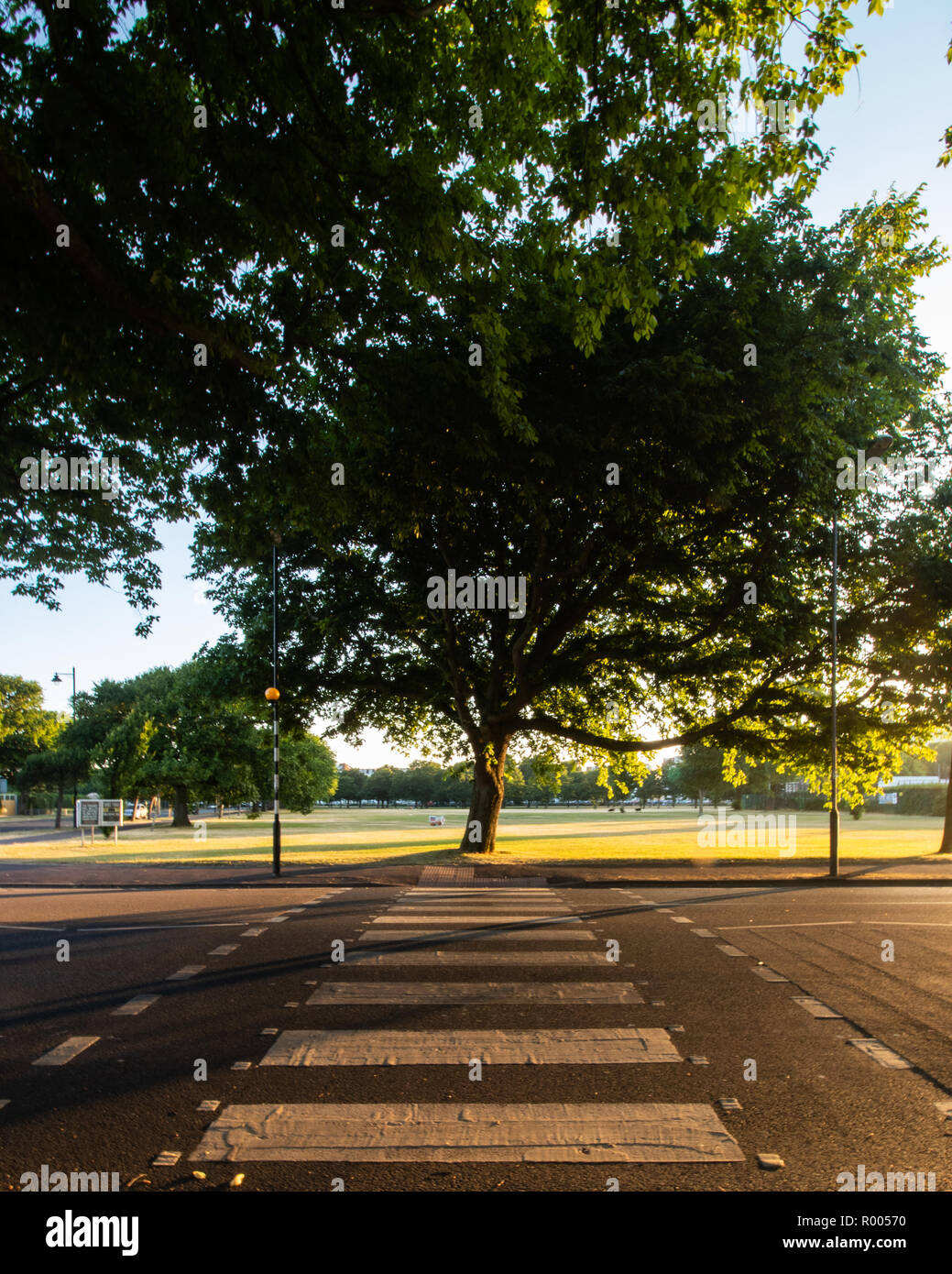 Un britannico Zebra crossing presso sunrise Foto Stock