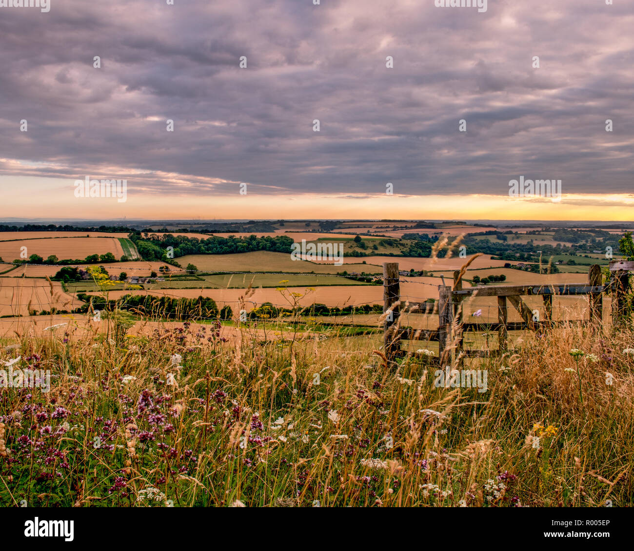 Un tipico paesaggio inglese scena con un cancello di legno circondato da fiori di campo Foto Stock