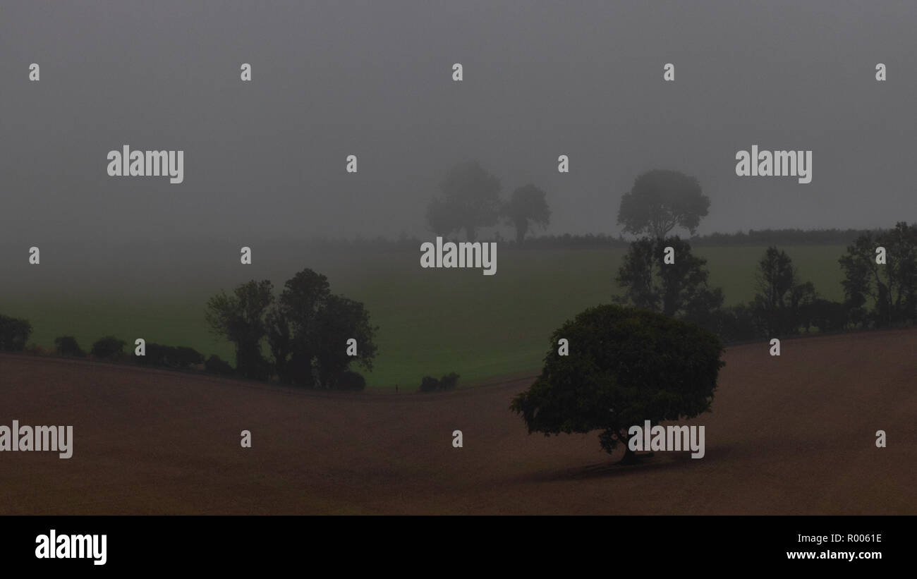 Misty e pioggia avvicinando i campi e gli alberi su South Downs, Hampshire, Regno Unito Foto Stock