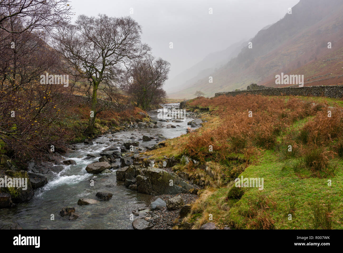 Stonethwaite Beck in The Borrowdale valley nel Parco Nazionale del Distretto dei Laghi, Cumbria, Inghilterra. Foto Stock