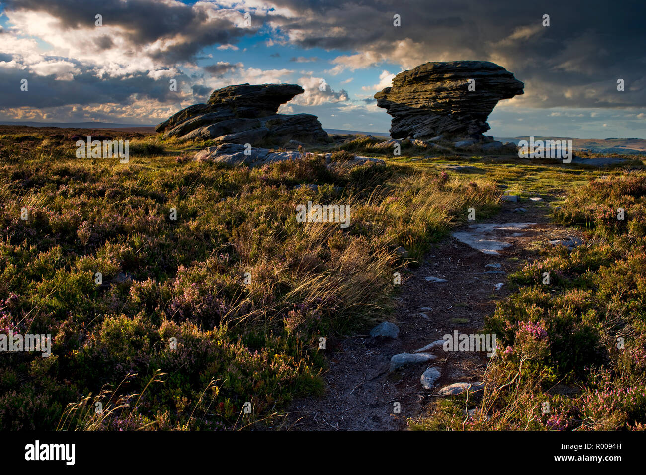 Le pietre di bue catturati nella luce della sera. Burbage Moor, il Peak District, Inghilterra (1) Foto Stock
