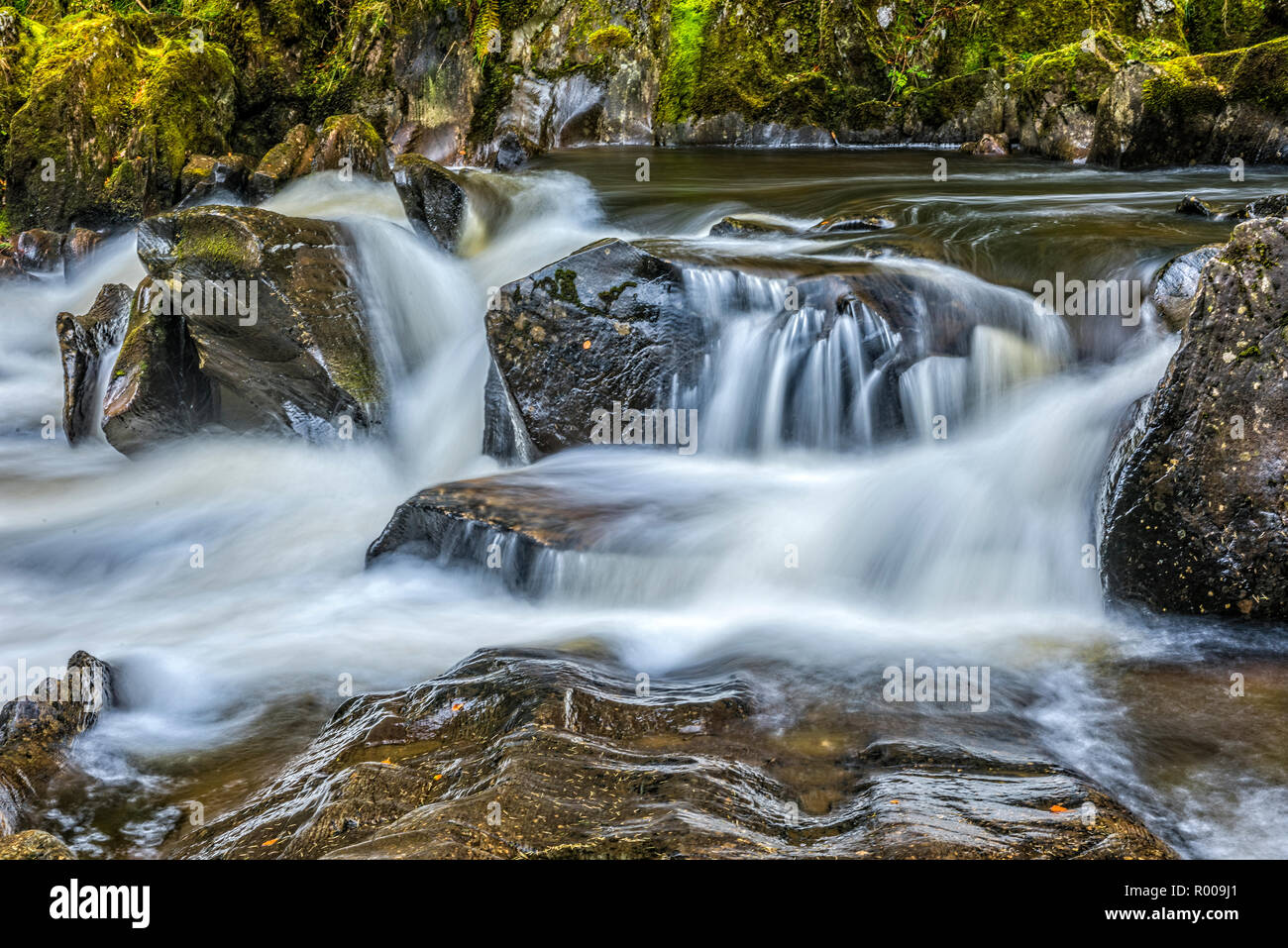 Cascata sul fiume Braan presso l'eremo vicino a Dunkeld, Perthshire Scozia Scotland Foto Stock