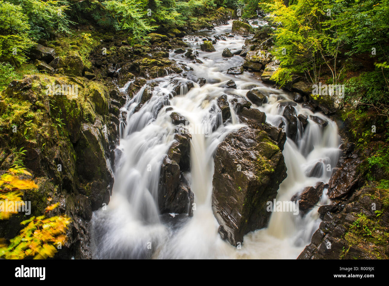 Linn nero cade e il fiume Braan presso l'eremo a Dunkeld, Perthshire Scozia Scotland Foto Stock