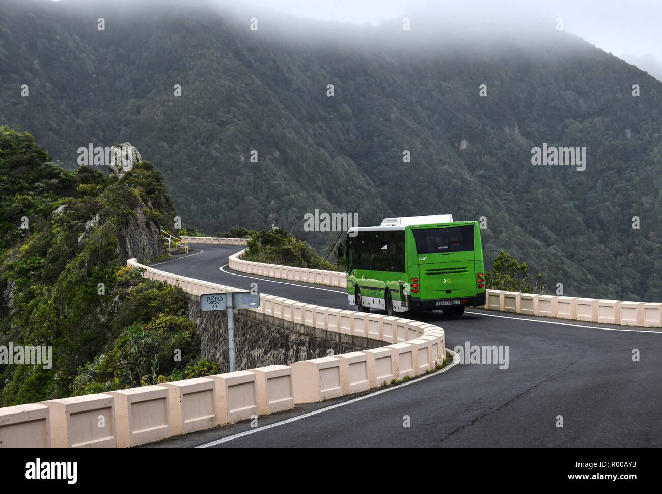 Spagna Isole Canarie: Tenerife. Bus su una strada di montagna in Anaga Parco Nazionale. Cima della montagna nella nebbia. *** Caption locale *** Foto Stock