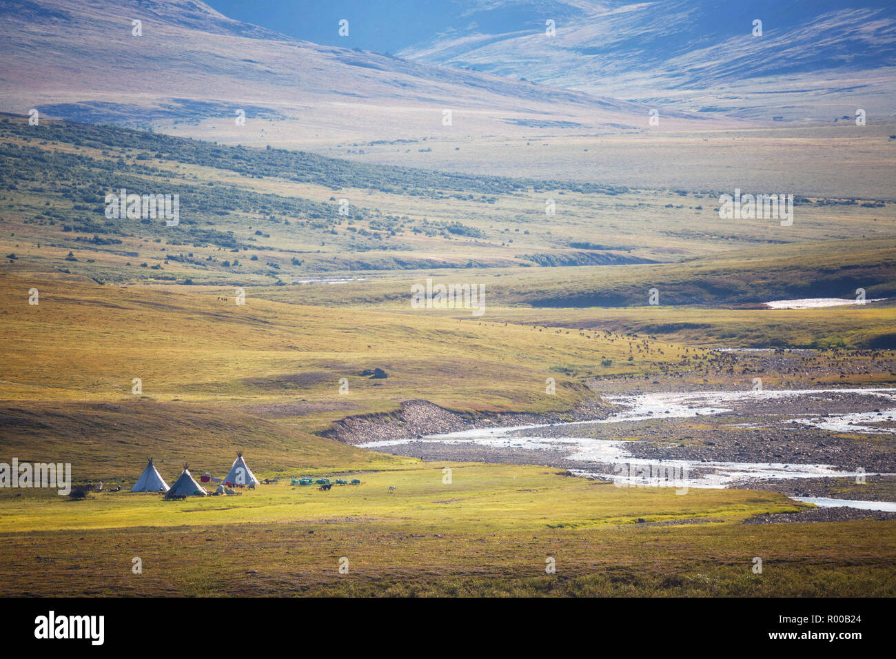 Chooms dei nomadi allevatori di renne, Yamal, Russia Foto Stock