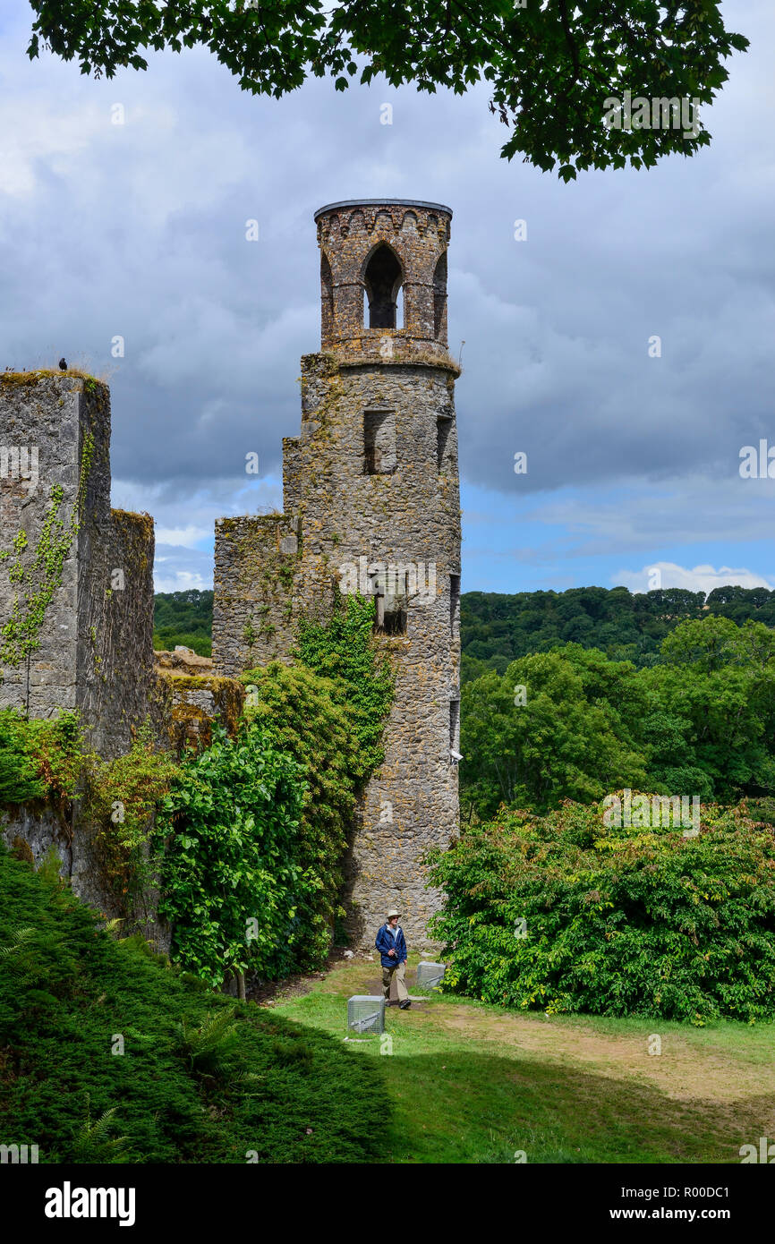 Torre accanto alla dungeons a Blarney Castle, vicino a Cork, nella contea di Cork, Repubblica di Irlanda Foto Stock