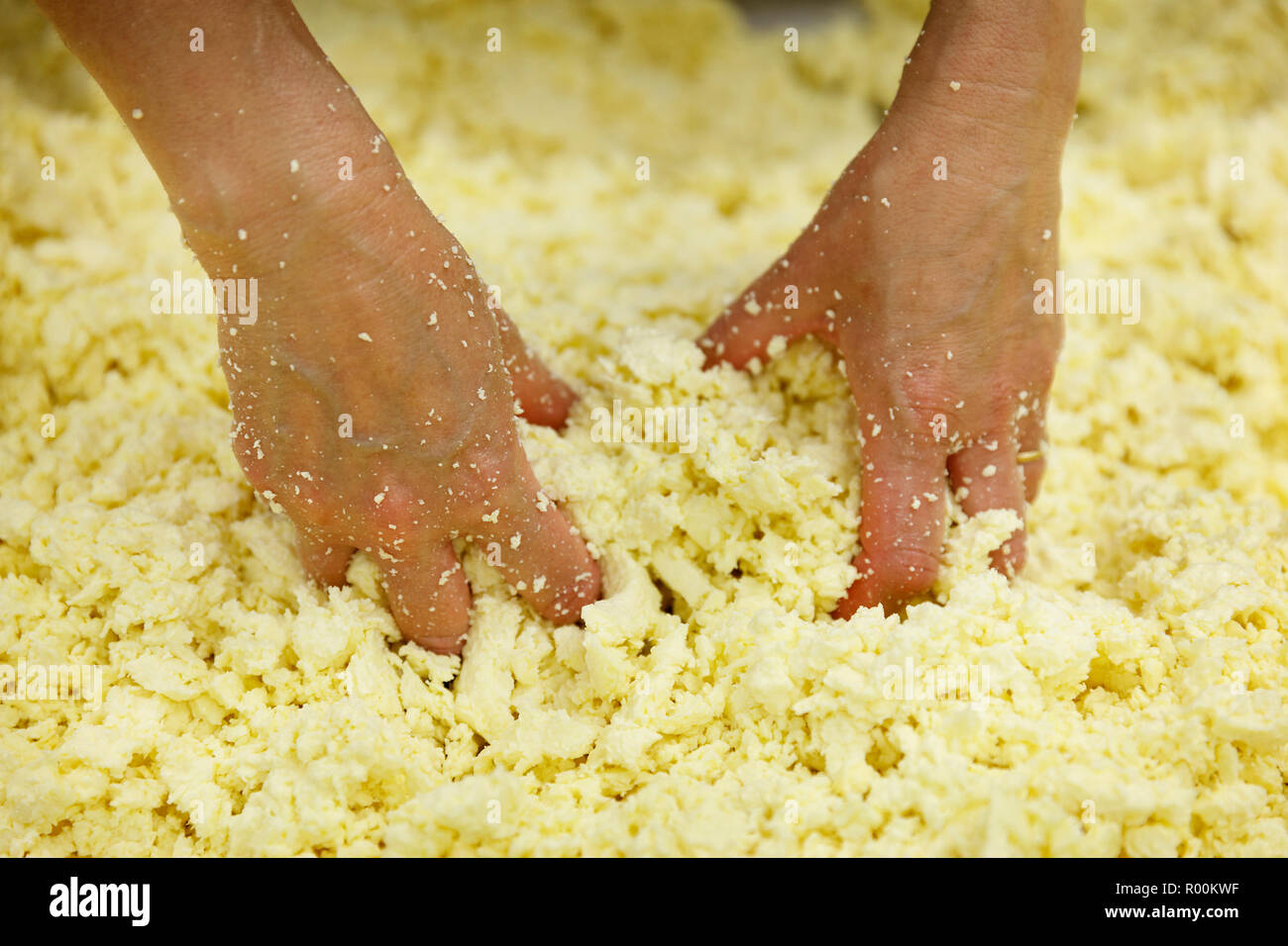 Il processo di produzione del formaggio separazione dell la cagliata dal siero di latte n. 3 Foto Stock