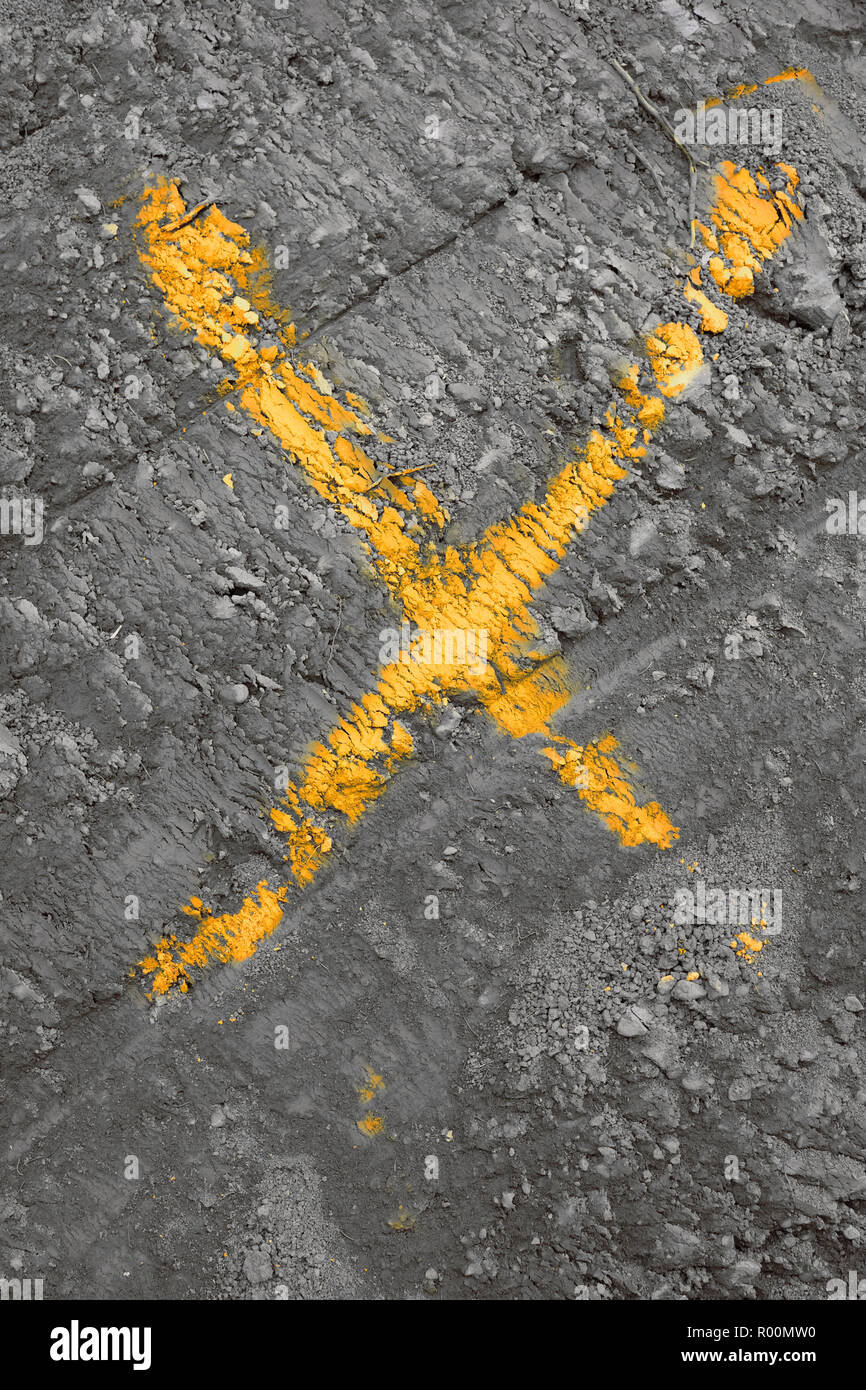 La colorata x .MARK . Simbolo Foto Stock