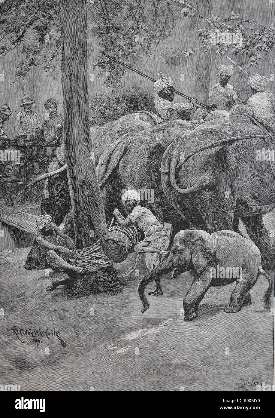 Digital riproduzione migliorata, il legame di un elefante in cattività in India, originale stampa da l'anno 1899 Foto Stock