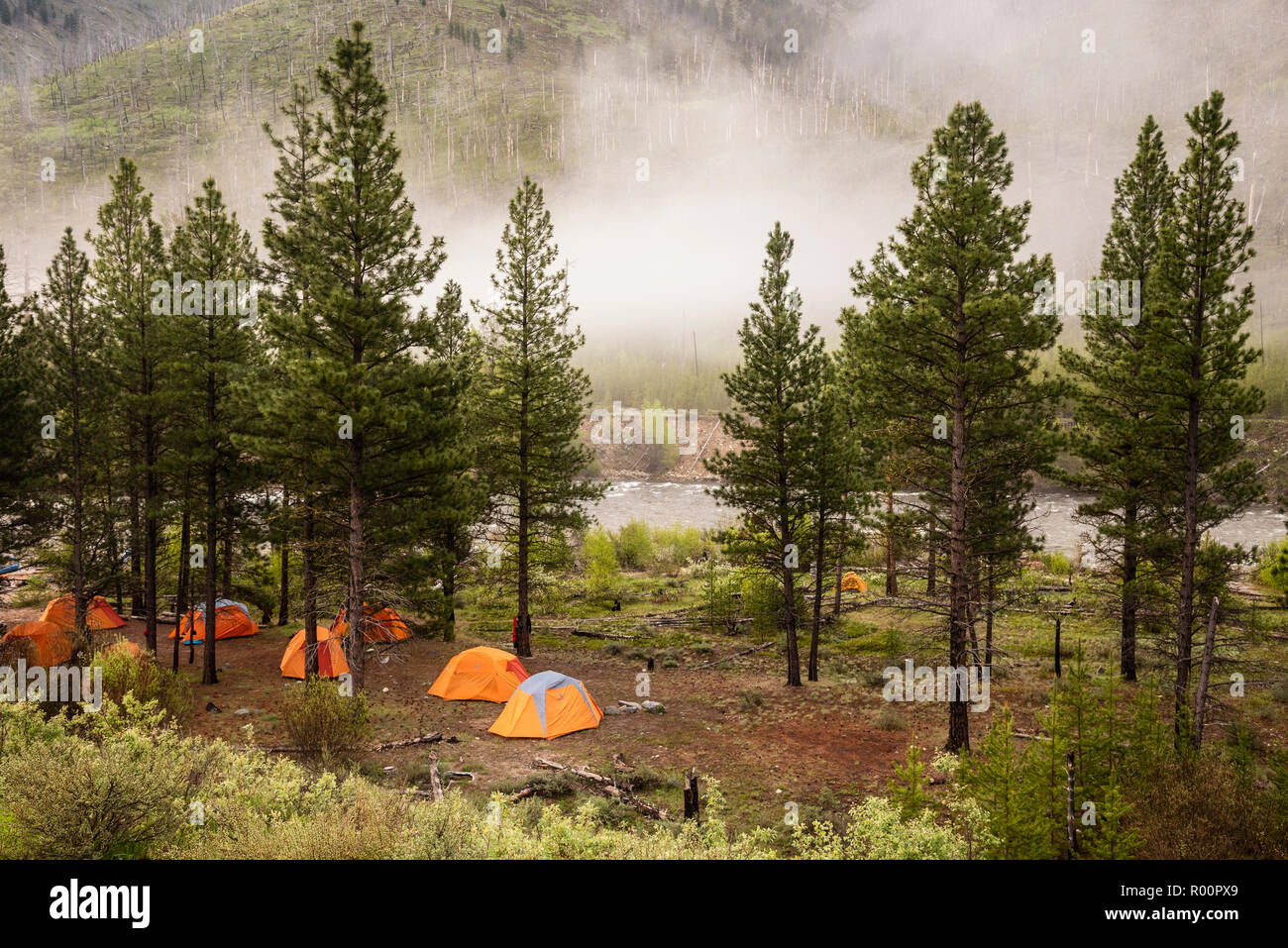 Campeggio sul fiume Salmon Middle Fork in Idaho con outfitter lontano e lontano avventure. Foto Stock