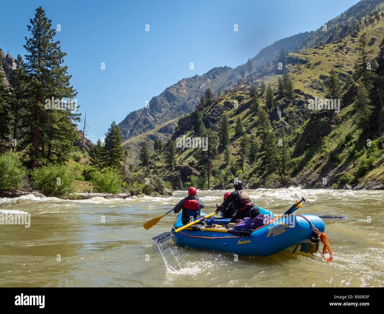 Rafting sul fiume Salmon Middle Fork nell'Idaho con avventure lontano e lontano. Foto Stock