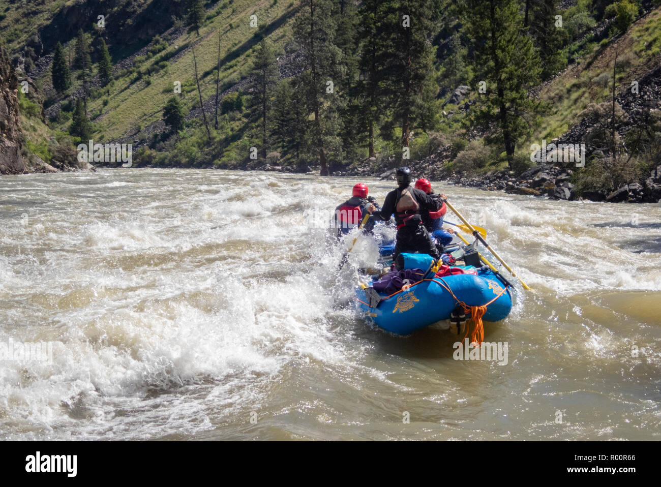 Rafting sulle rapide sul fiume Middle Fork Salmon nell'Idaho con avventure all'esterno. Foto Stock