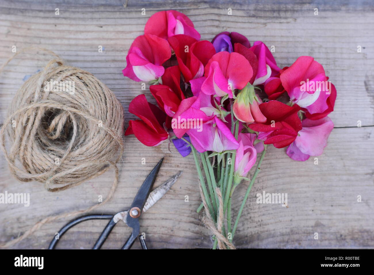Lathyrus odoratus. Appena raccolto mazzetto di Spencer pisello dolce fiori sul tavolo di legno in un giardino inglese, estate, REGNO UNITO Foto Stock