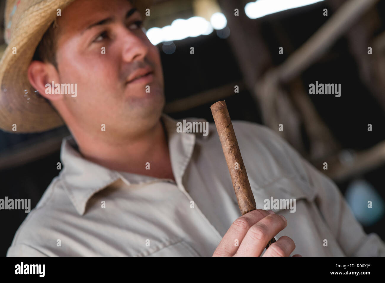 Un lavoratore cubano di piantagioni di tabacco dà una dimostrazione sulla produzione di sigari a Viñales, Cuba. Foto Stock
