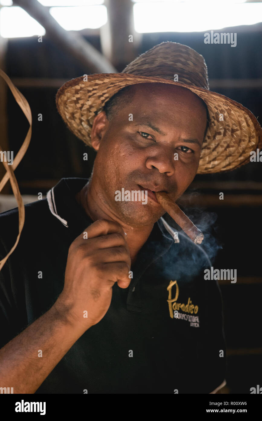 Un uomo cubano fuma una appena arrotolato sigaro Montecristo su una fattoria di tabacco in Viñales, Cuba. Foto Stock