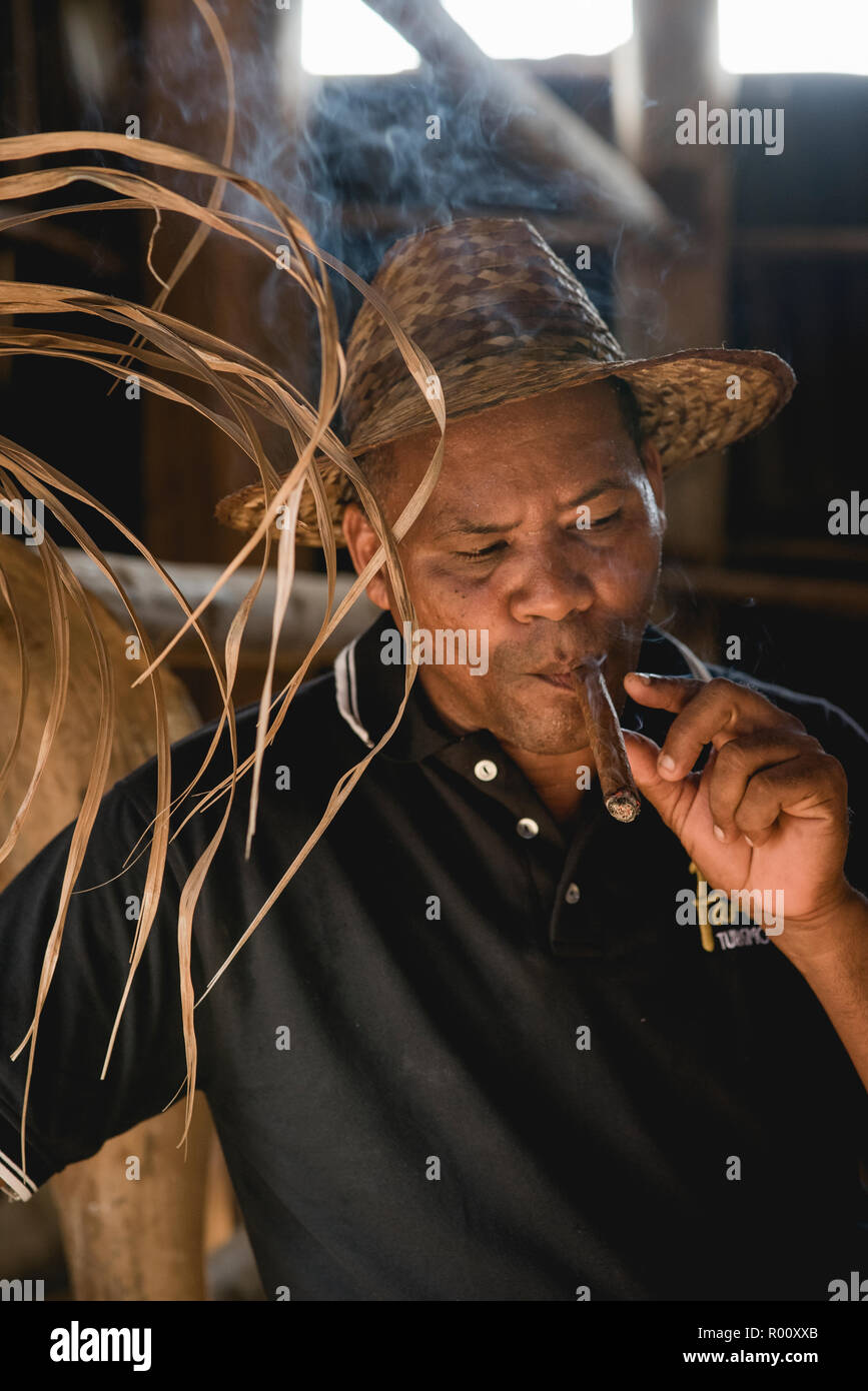 Un uomo cubano fuma una appena arrotolato sigaro Montecristo su una fattoria di tabacco in Viñales, Cuba. Foto Stock