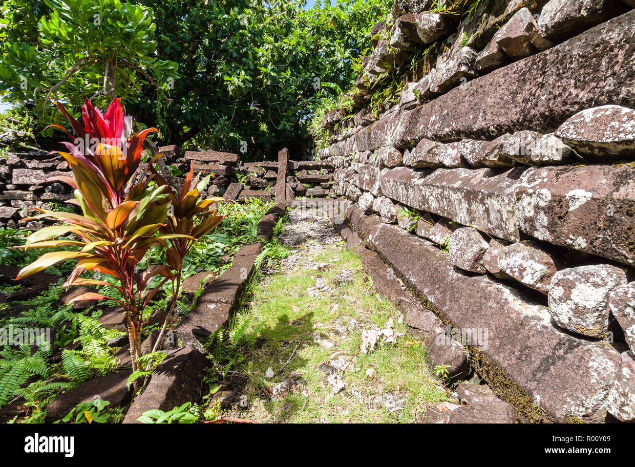 Mura di Nan Douwas, Nan Madol: prehistoric rovinato città di pietra costruiti di lastre di basalto. Le antiche mura della laguna di Pohnpei, Micronesia, Oceania Foto Stock