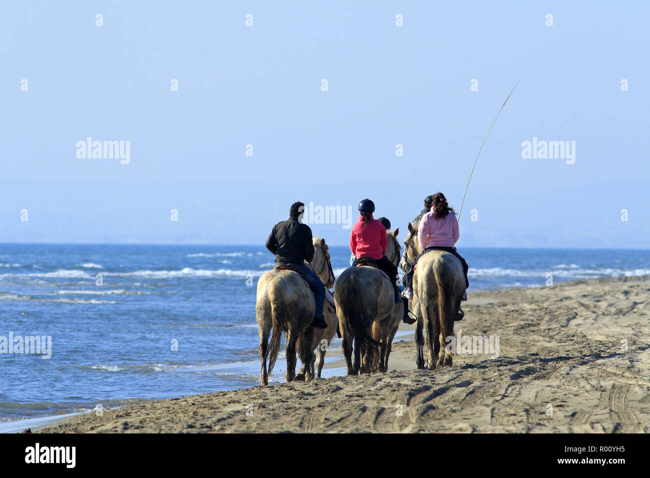 Passeggiate a cavallo sulla spiaggia Espiguette, Le Grau du Roi, Occitanie Francia Foto Stock