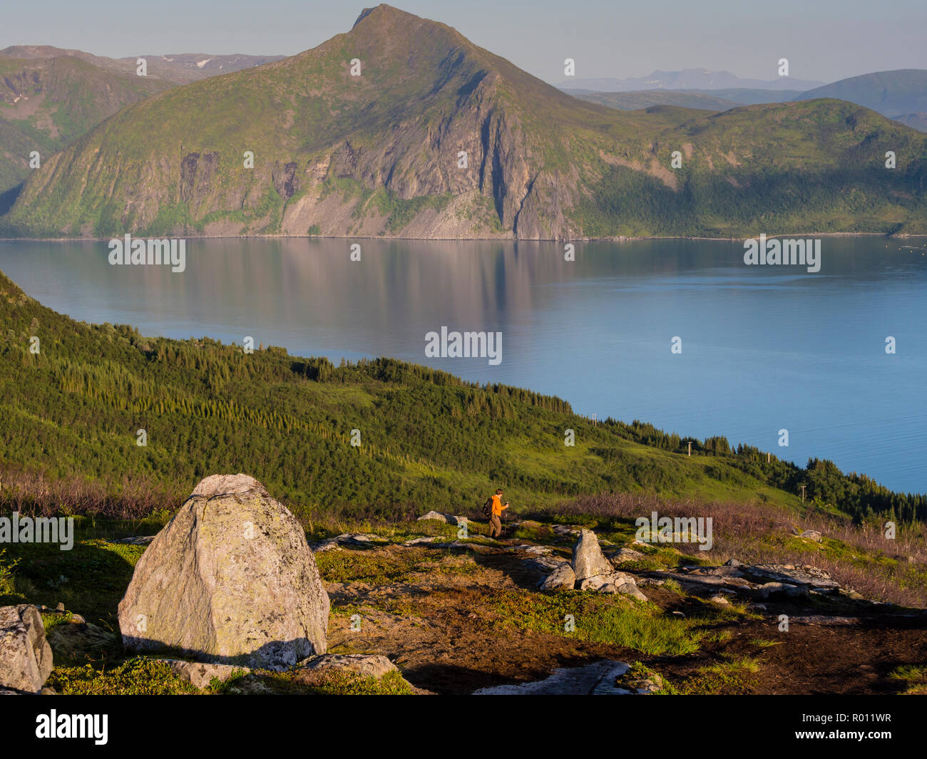 Escursionista scendendo dalla montagna, Husfjell sopra Bergsfjord fiordo, isola Senja, Troms, Norvegia Foto Stock