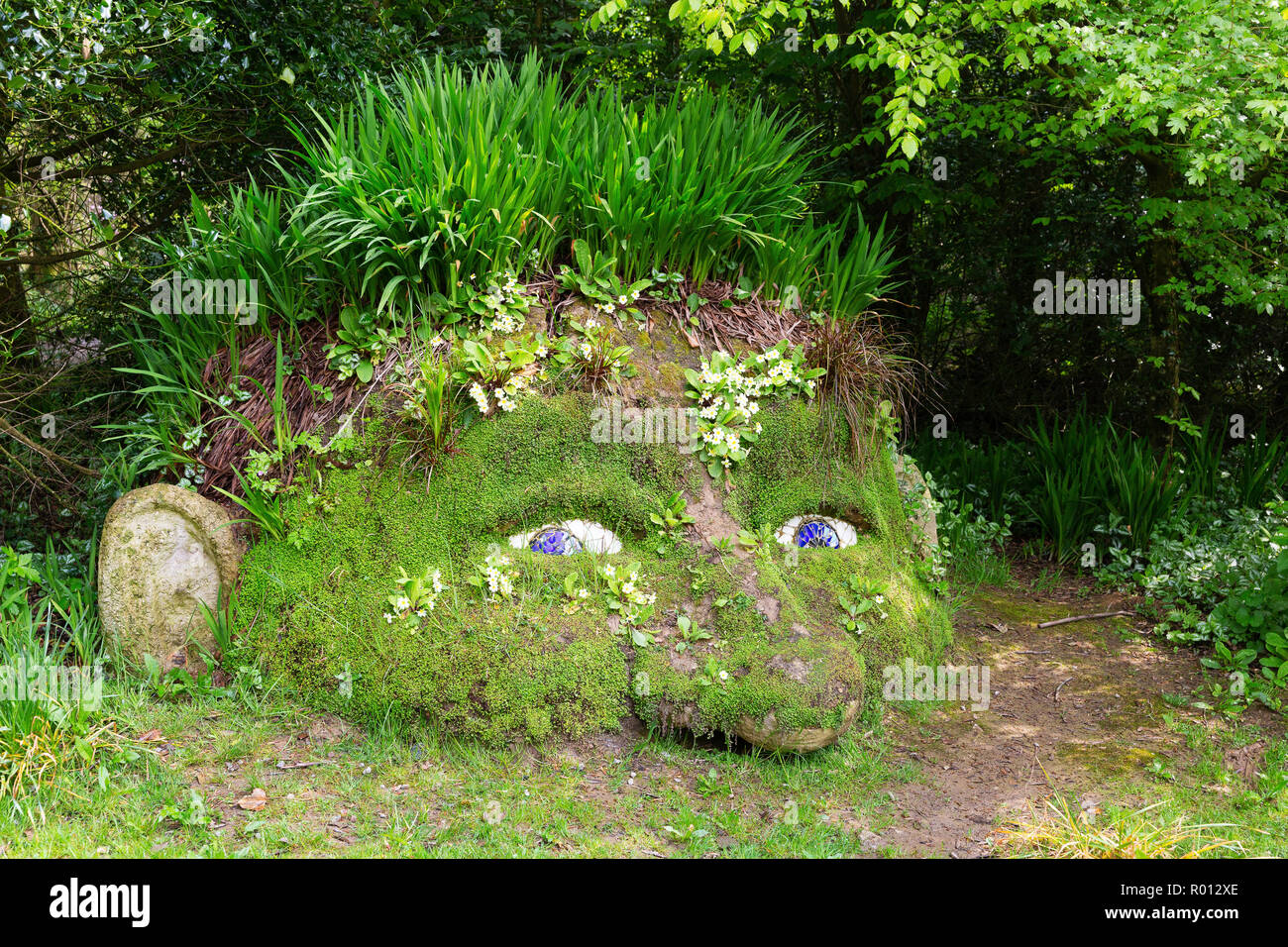 Il gigante della pianta di testa e la scultura in pietra al Lost Gardens of Heligan, Cornwall, Inghilterra. Foto Stock