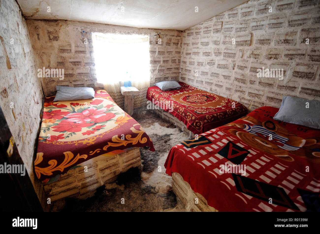 Febbraio 25, 2010 - Salar de Uyuni - Bolivia: Paesaggio catturata nel Salar de Uyuni, Bolivia incredibile deserto di sale. Un 'salt hotel', una struttura interamente realizzata al di fuori del sale nel cuore del Salar de Uyuni campi di sale dove i turisti possono trascorrere la notte. L'hotel de sel, un lieu fait en briques de sel ou les voyageurs peuvent passer la nuit dans le Salar de Uyuni, Onu deserto de sel d'onu blanc eclatant en Bolivie. Quand le Salar est recouvert d'eau, il se transforme en onu immense miroir refletant le ciel de maniere quasiment parfaite. *** La Francia / NESSUNA VENDITA A MEDIA FRANCESI *** Foto Stock