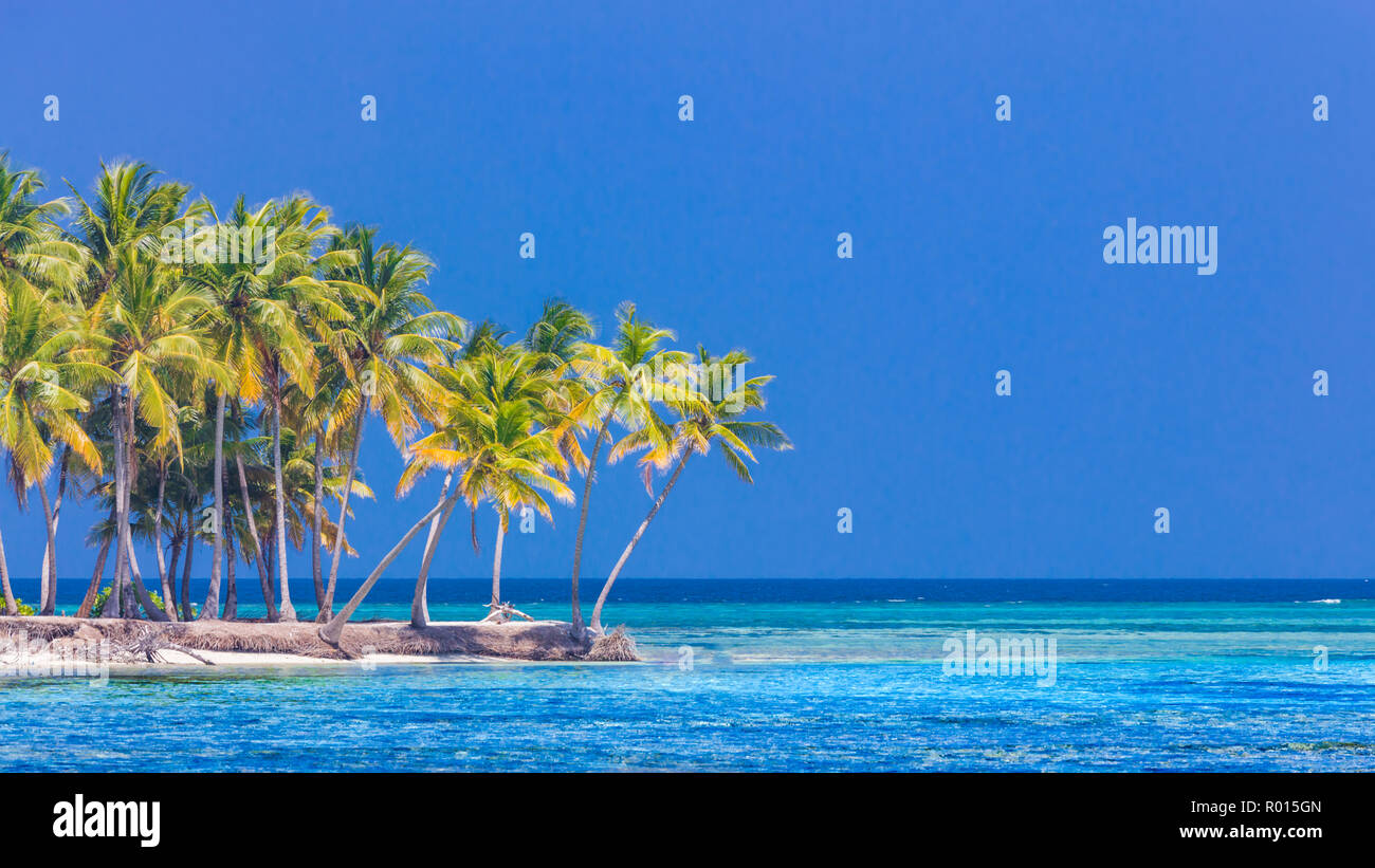Spiaggia stupefacente banner. Paesaggio tropicale, palme, sabbia bianca e blu del cielo. Vacanze esotici e concetto di vacanza. Viaggi di lusso il concetto di destinazione Foto Stock