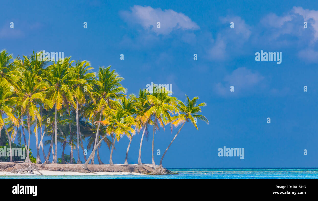 Spiaggia stupefacente banner. Paesaggio tropicale, palme, sabbia bianca e blu del cielo. Vacanze esotici e concetto di vacanza. Viaggi di lusso il concetto di destinazione Foto Stock