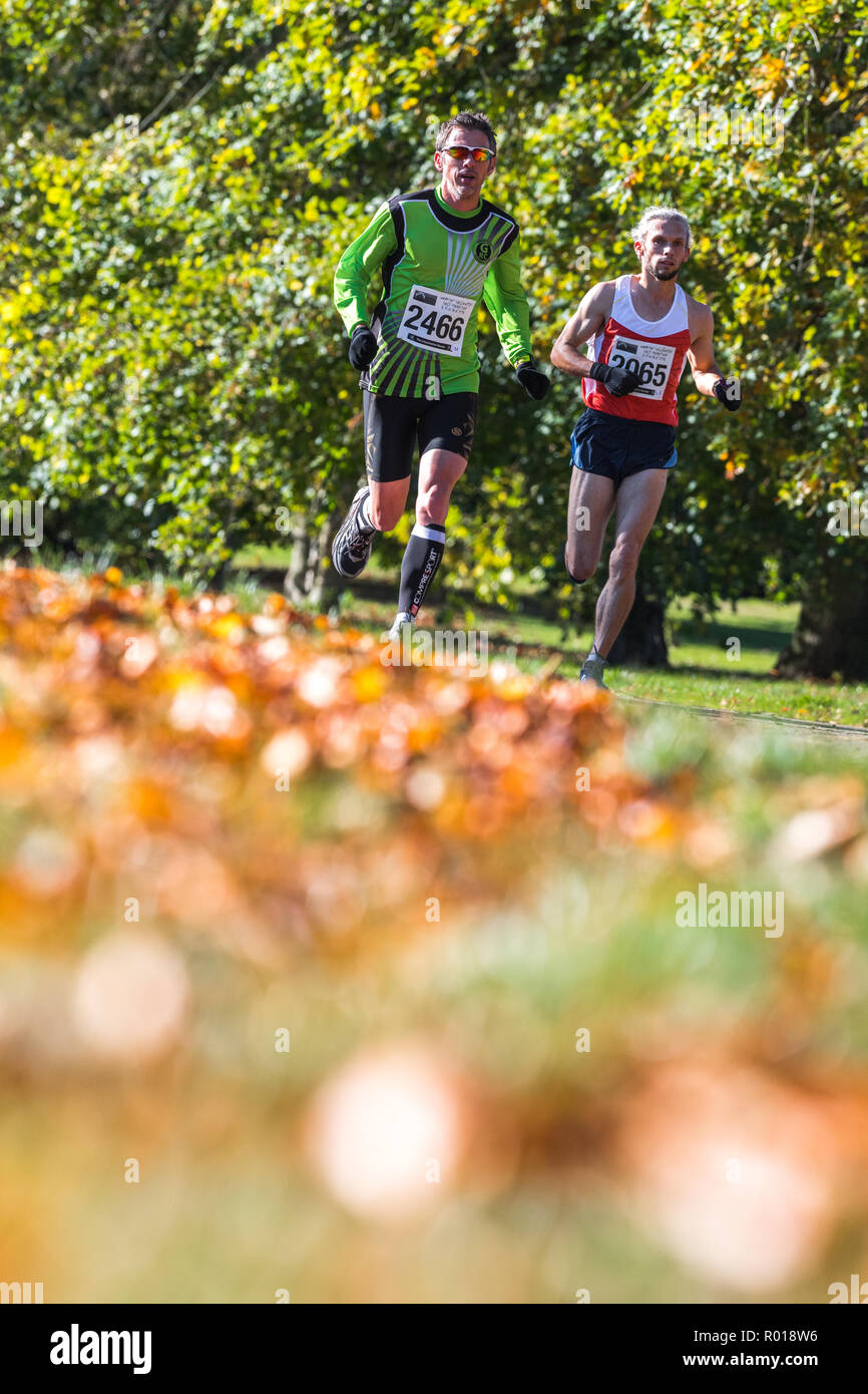 Guide di scorrimento a competere in Worksop Halloween mezza maratona sono accolti dal brillante sole autunnale come essi passano attraverso Clumber Park. Foto Stock