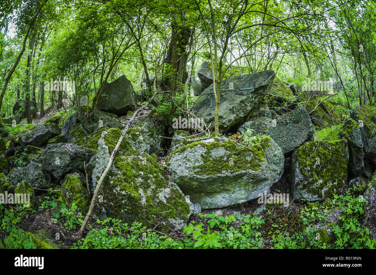 Abbandonato resti del distrutto bunker di Festung Breslau. Foto Stock