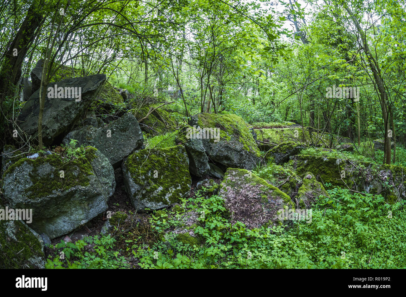 Abbandonato resti del distrutto bunker di Festung Breslau. Foto Stock