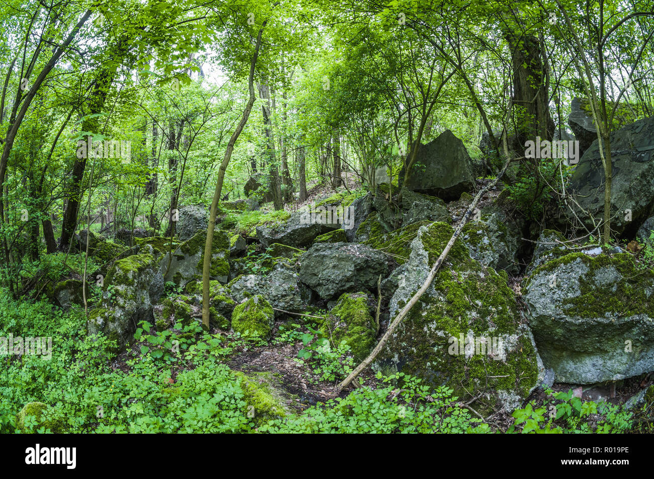 Abbandonato resti del distrutto bunker di Festung Breslau. Foto Stock