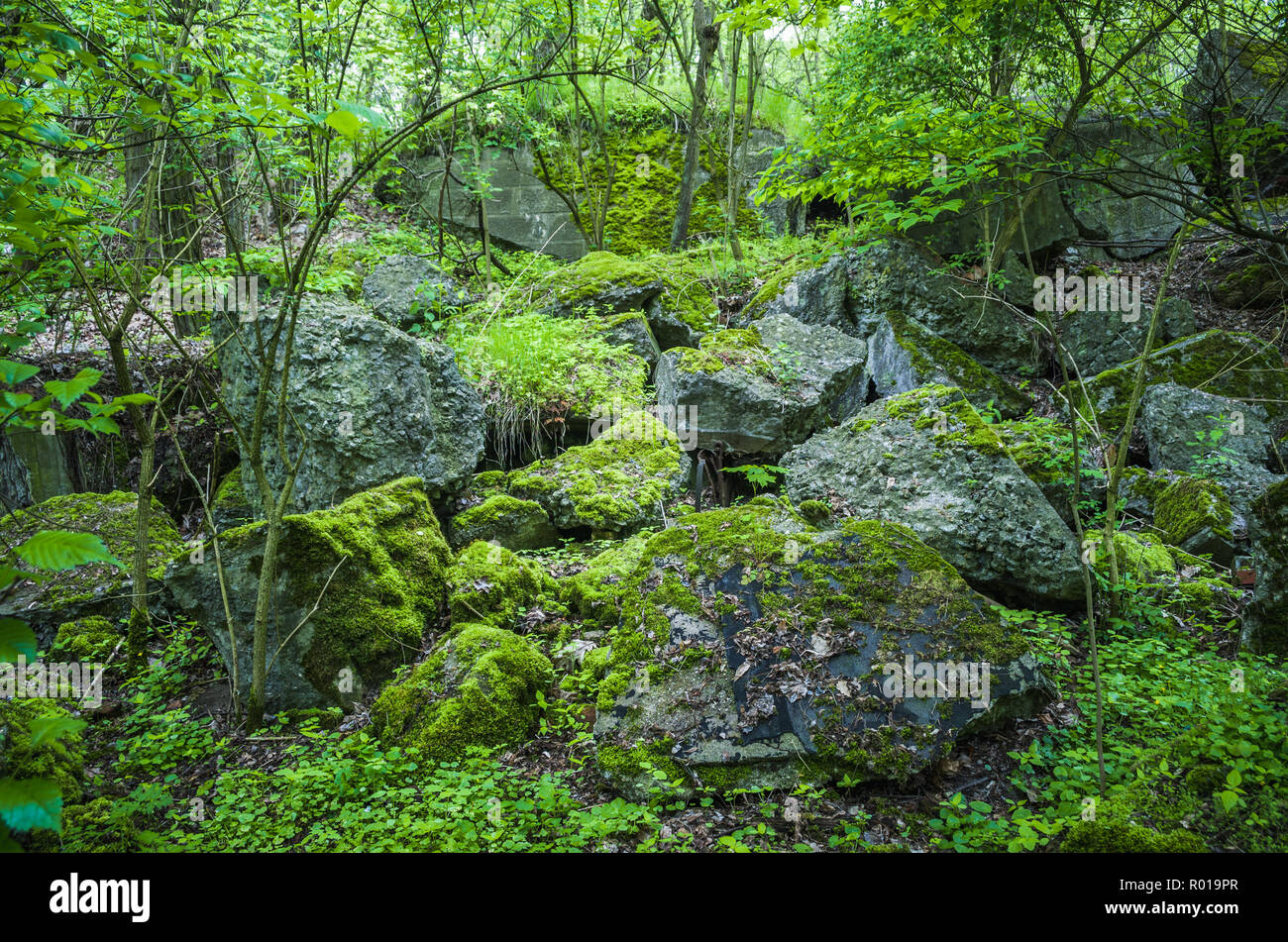 Abbandonato resti del distrutto bunker di Festung Breslau. Foto Stock
